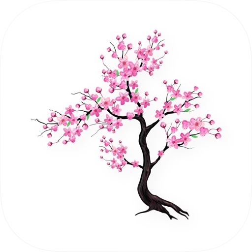 Timefully - Meditation Timer: Αξιολόγηση της εφαρμογής